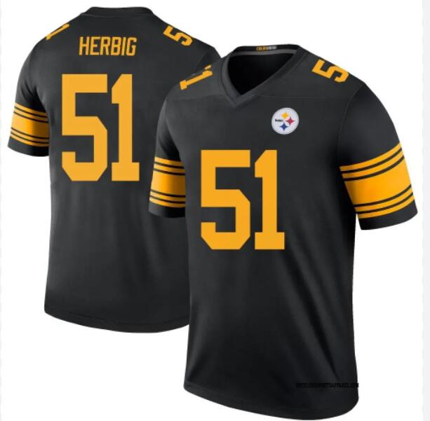 Men Pittsburgh Steelers 51 Herbig black 2024 Nike NFL Jersey